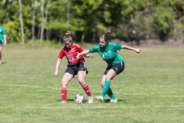 Bild 317 - F SG NieBar - IF Stjernen Flensborg : Ergebnis: 2:0
